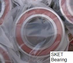 SKET Bearing plastic bag packing
