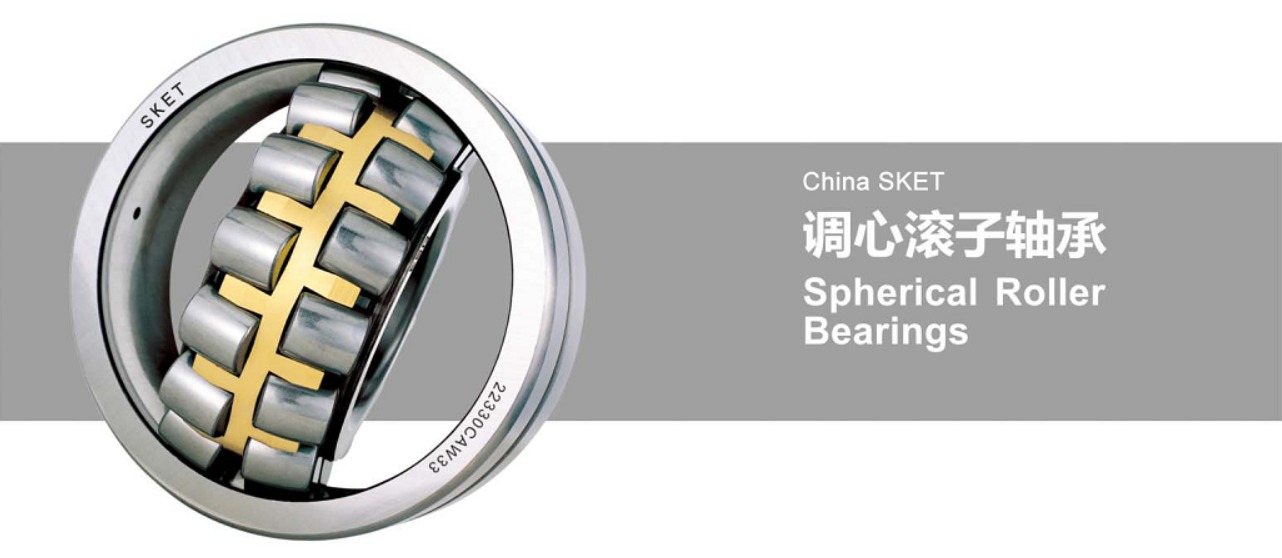 China roller bearing supplier